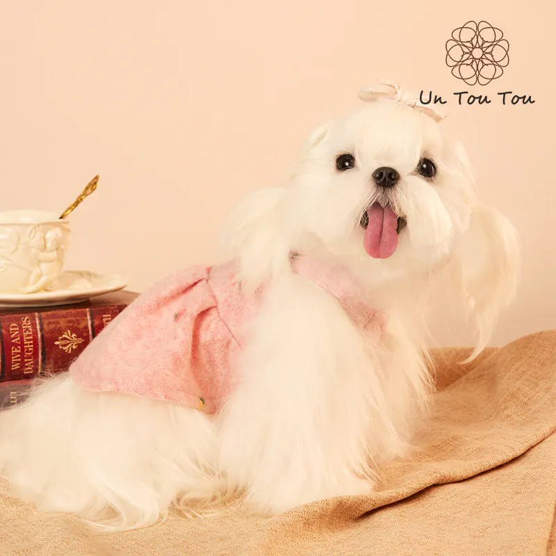 Embroidered Fruit Pet Vest Dress · 24341002 product view 4