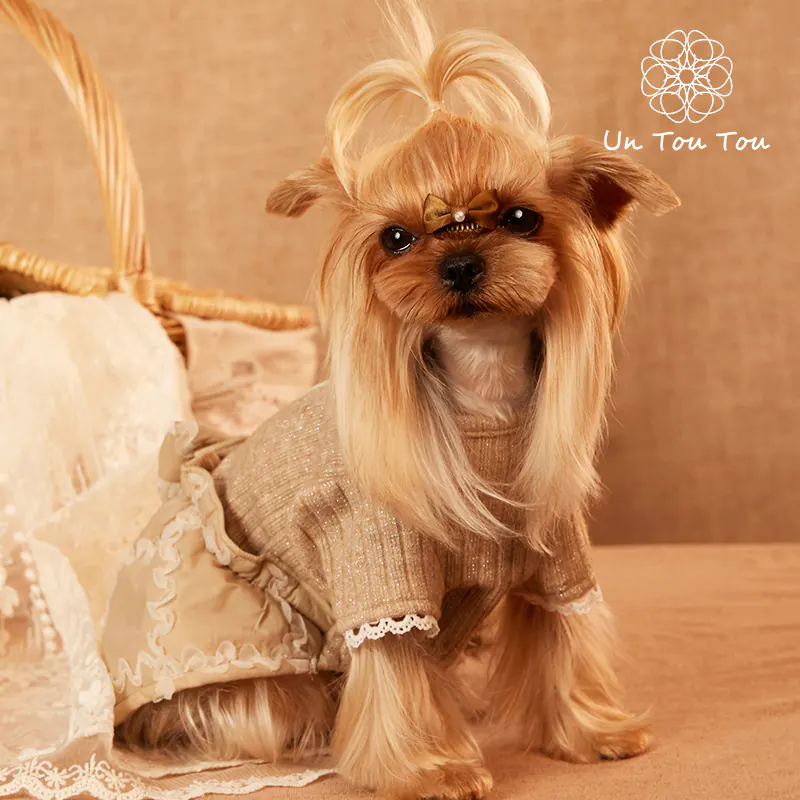 Knit Pet Dress · 24341009 product view 3