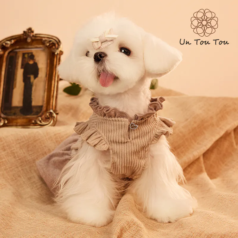 Embroidered Pet Dress · 24341010 product view 3