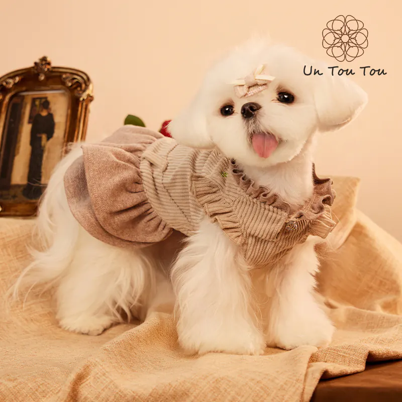 Embroidered Pet Dress · 24341010 product view 4