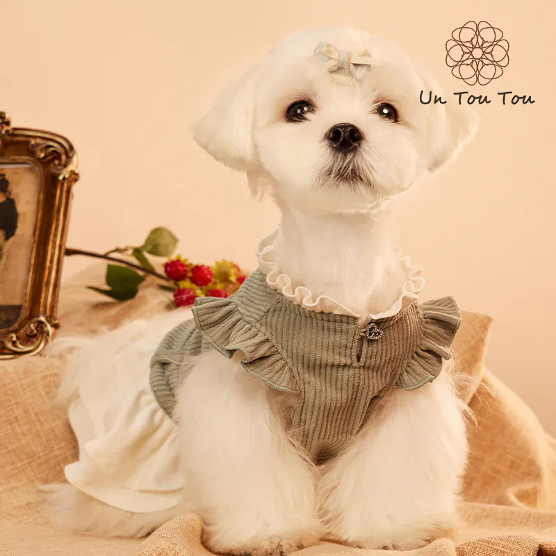 Embroidered Pet Dress · 24341010 product view 5