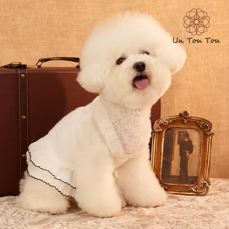 Knit Pet Dress · 24341012 product view 5