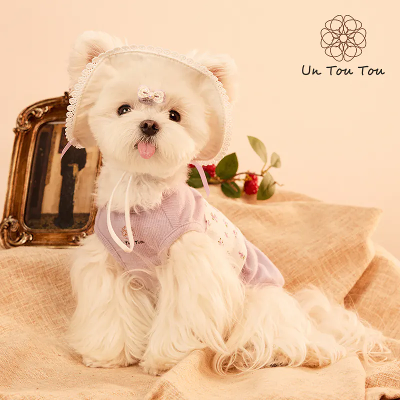 Knit Pet Vest · 24341016 product view 3