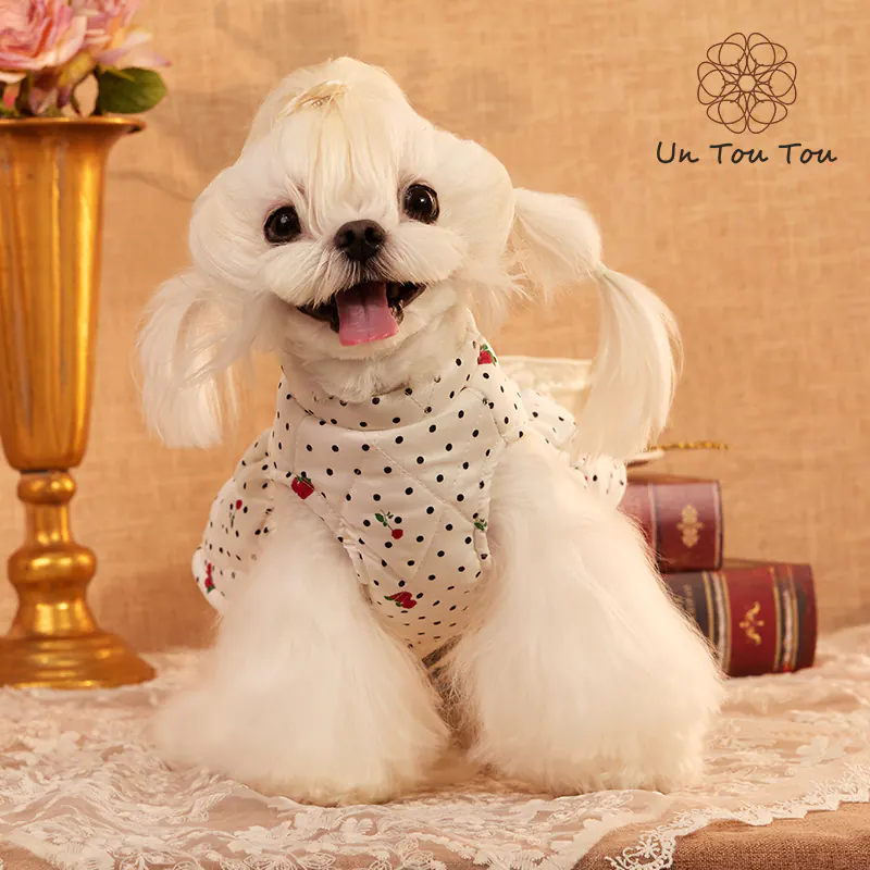 Pet Apparel · 24341019 product view 3