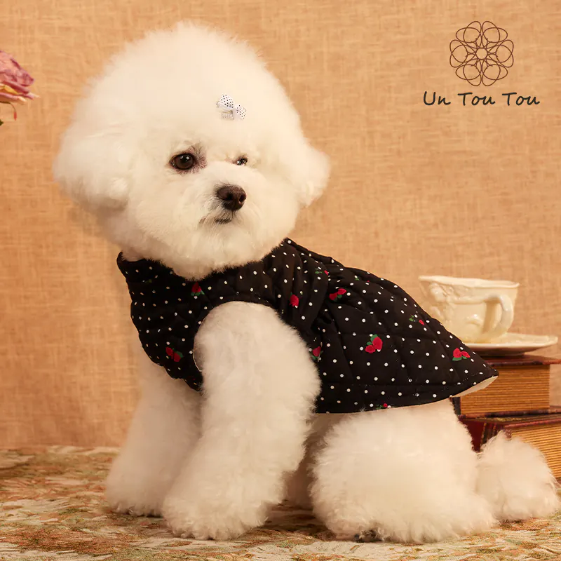 Pet Apparel · 24341019 product view 5