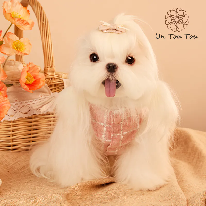 Plaid Pet Apparel · 24341023 product view 5