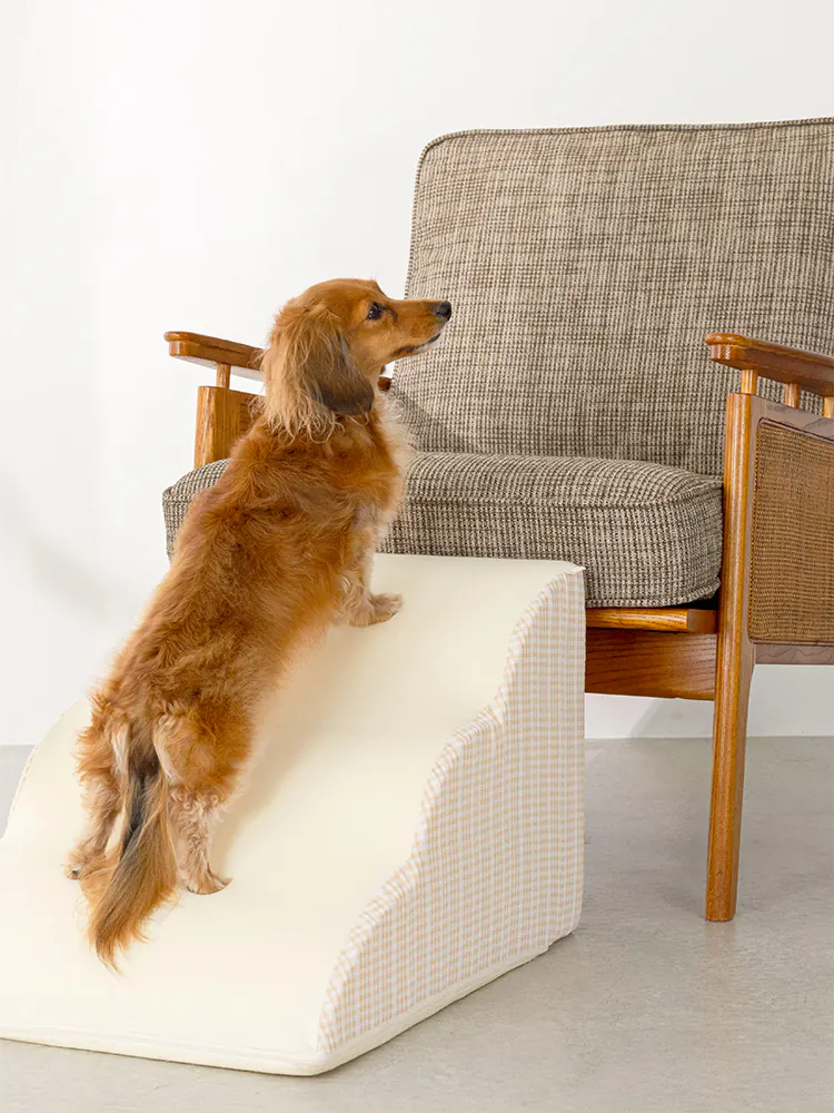Pet Bed · UT250047 product view 4