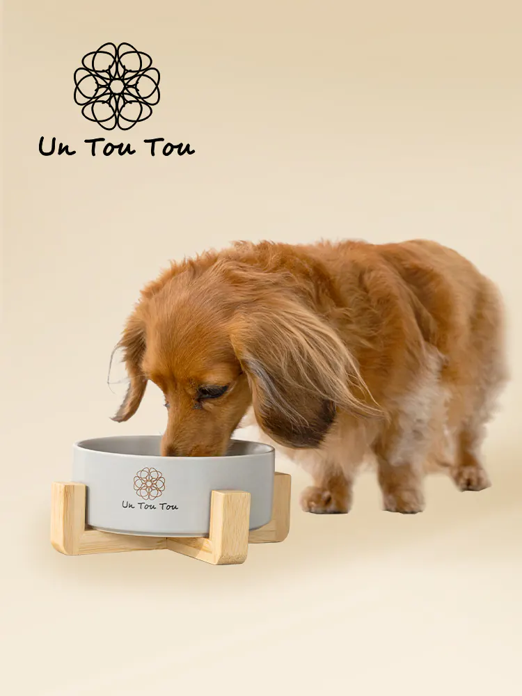 Pet Bowl · UT250051 product view 3