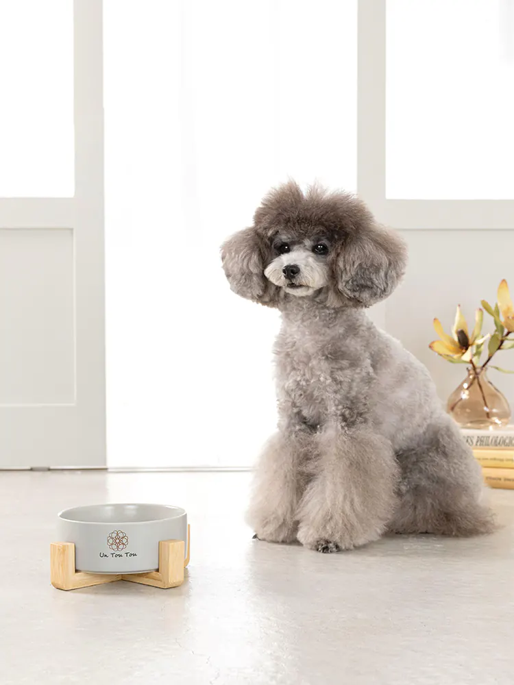 Pet Bowl · UT250051 product view 4