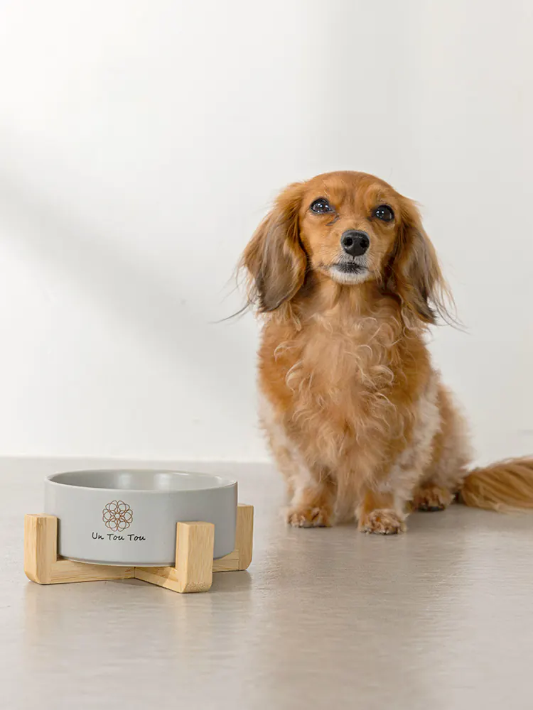 Pet Bowl · UT250051 product view 5
