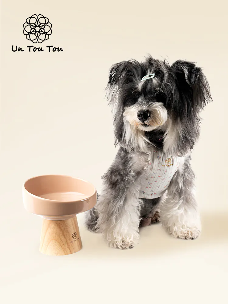Pet Bowl · UT250052 product view 2