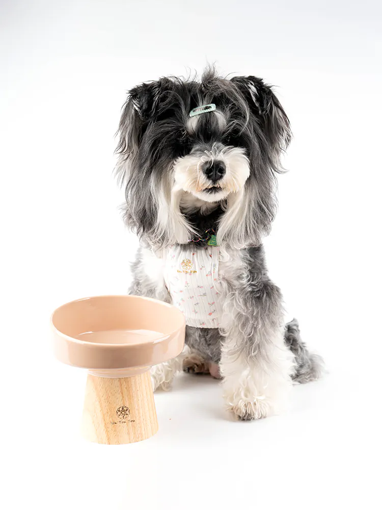 Pet Bowl · UT250052 product view 3