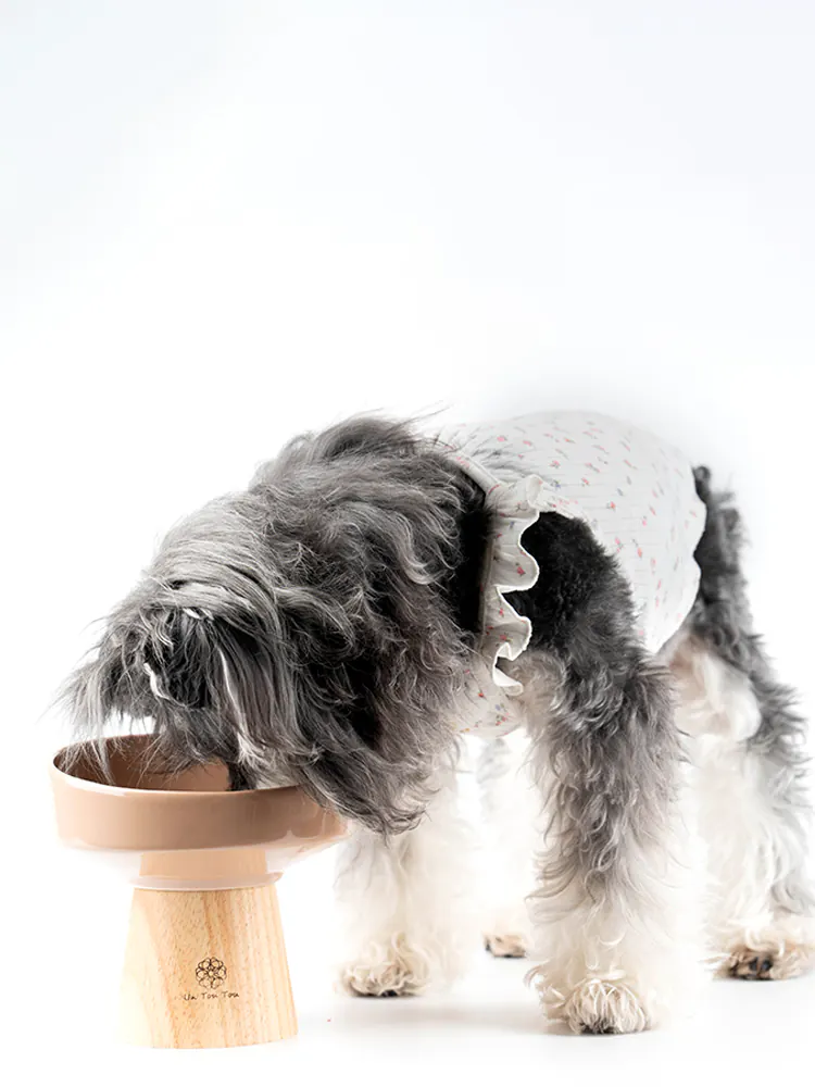Pet Bowl · UT250052 product view 4
