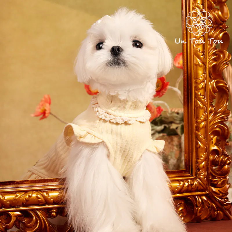 Knit Pet Dress · UT25067 product view 3