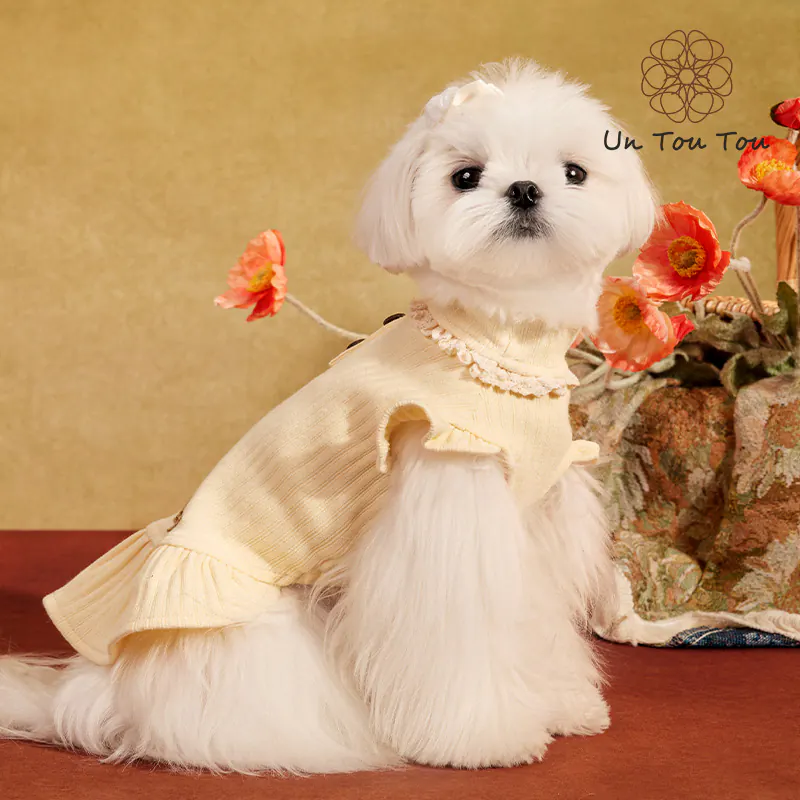 Knit Pet Dress · UT25067 product view 4