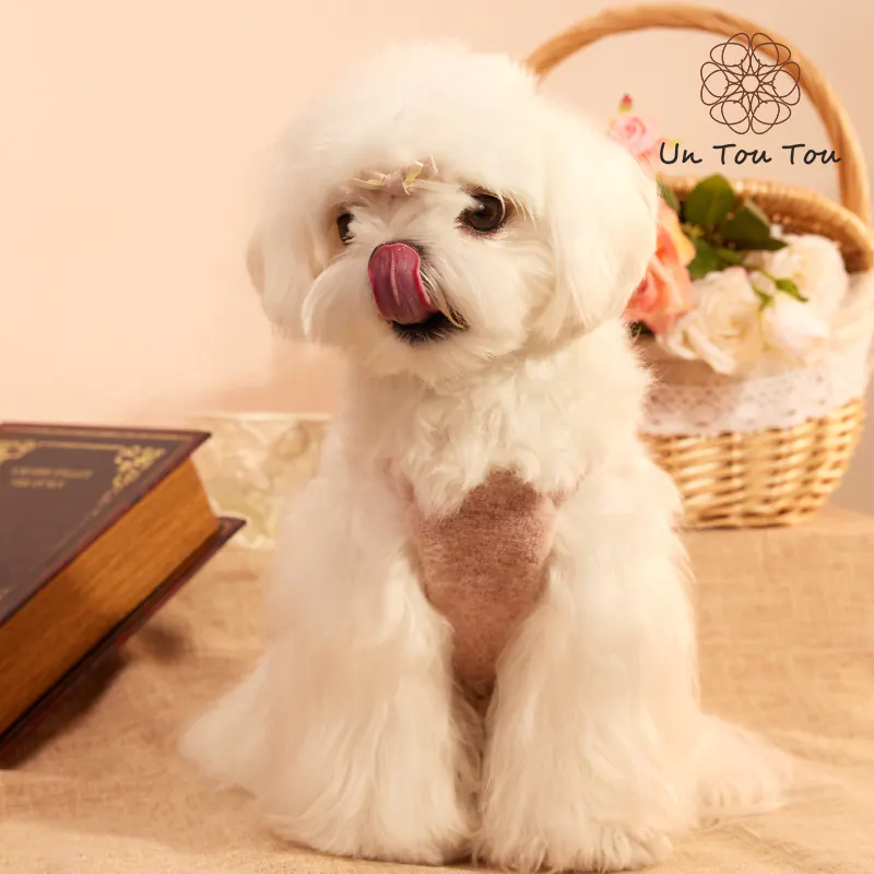Pet Dress · UT25077 product view 3