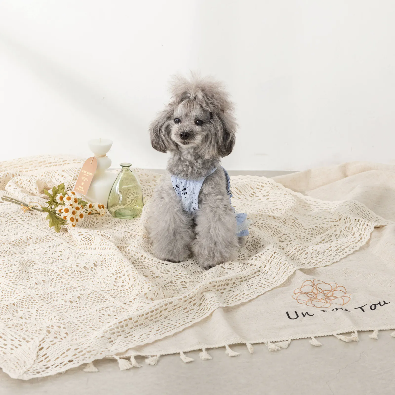 Bow Butterfly Pet Dress · UT251002 product view 2