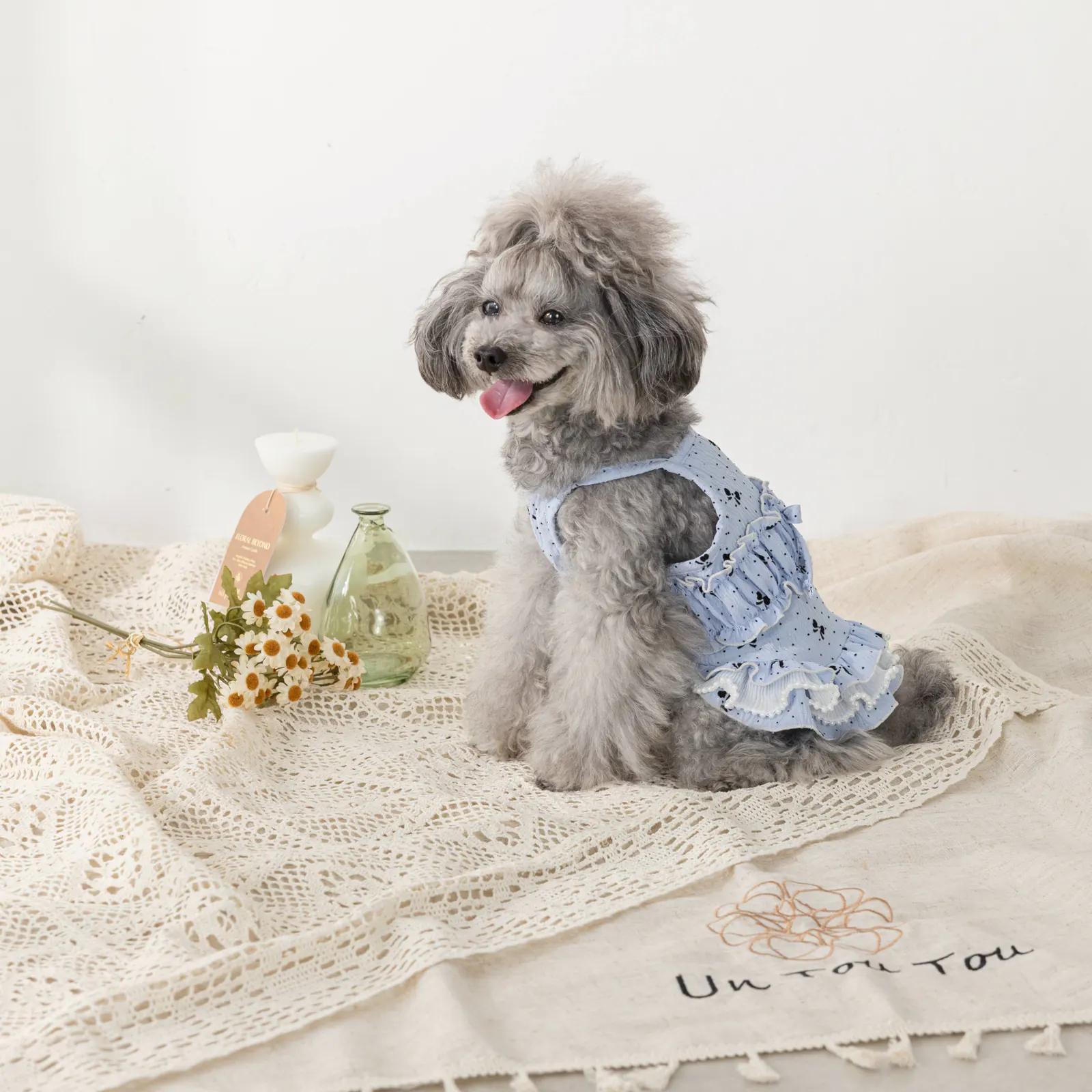 Bow Butterfly Pet Dress · UT251002 product view 3