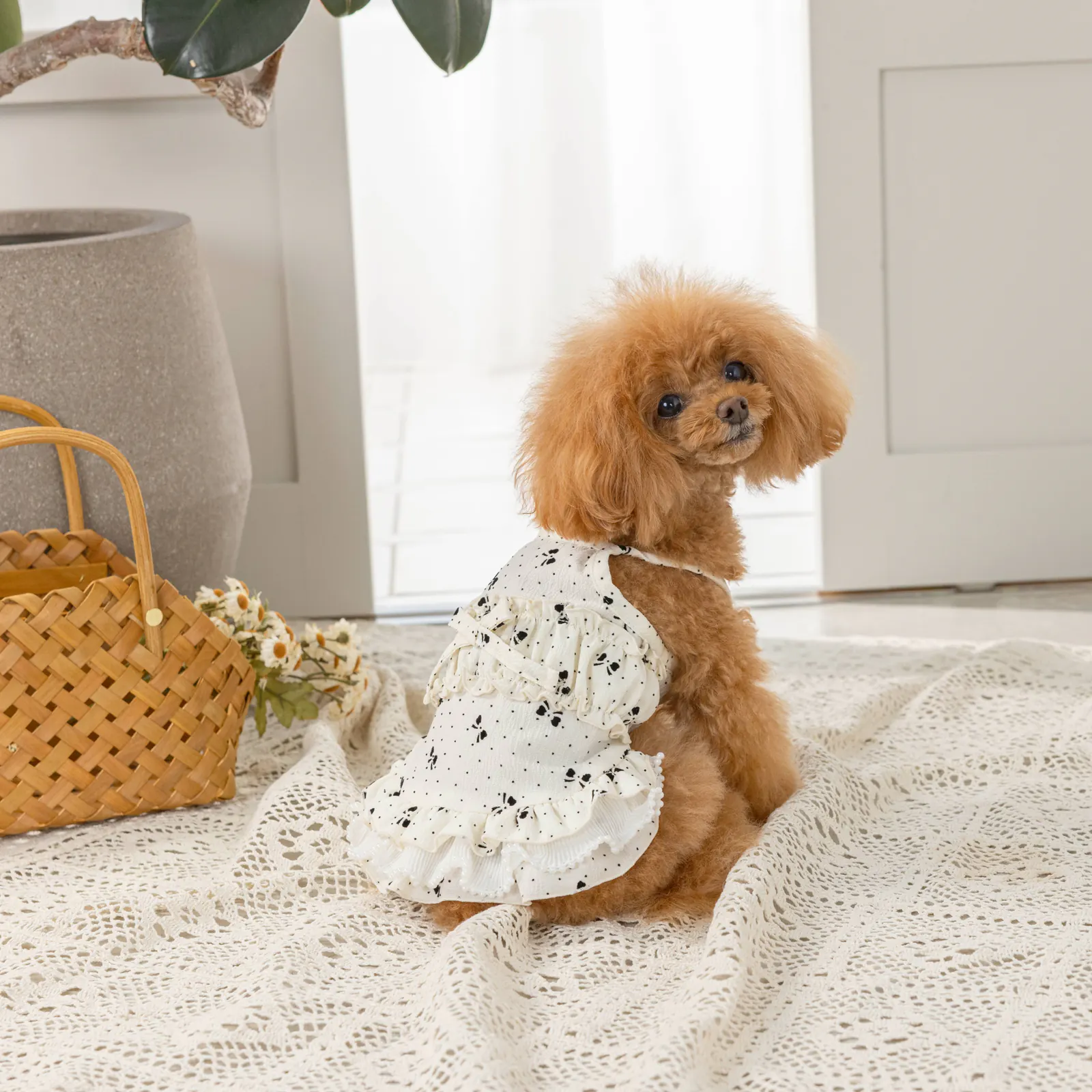 Bow Butterfly Pet Dress · UT251002 product view 5