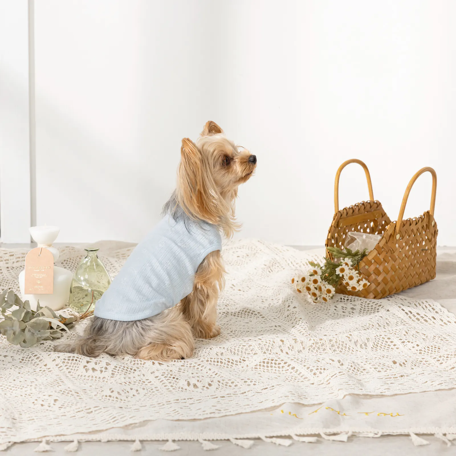 Knit Pet Vest · UT251003 product view 2