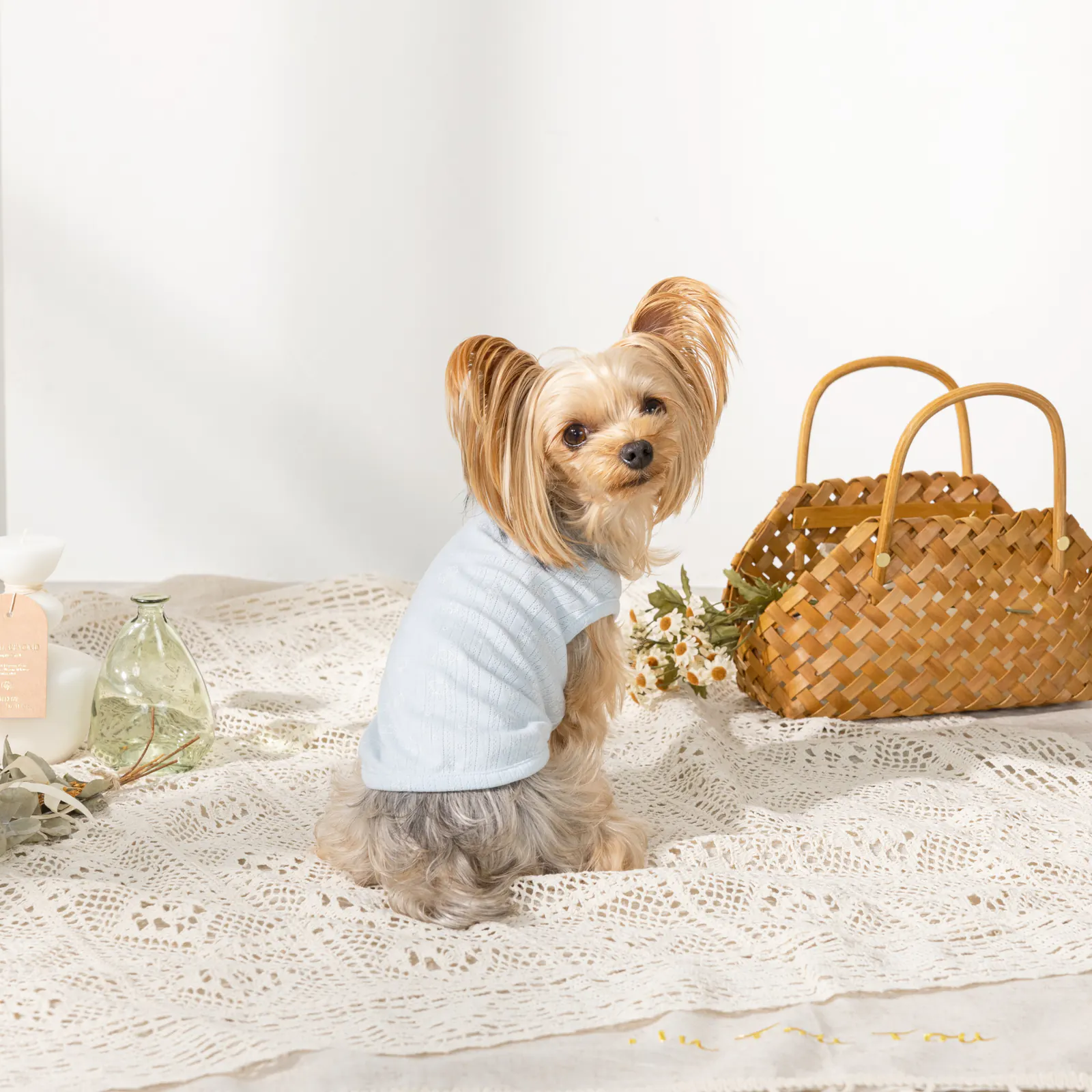 Knit Pet Vest · UT251003 product view 3