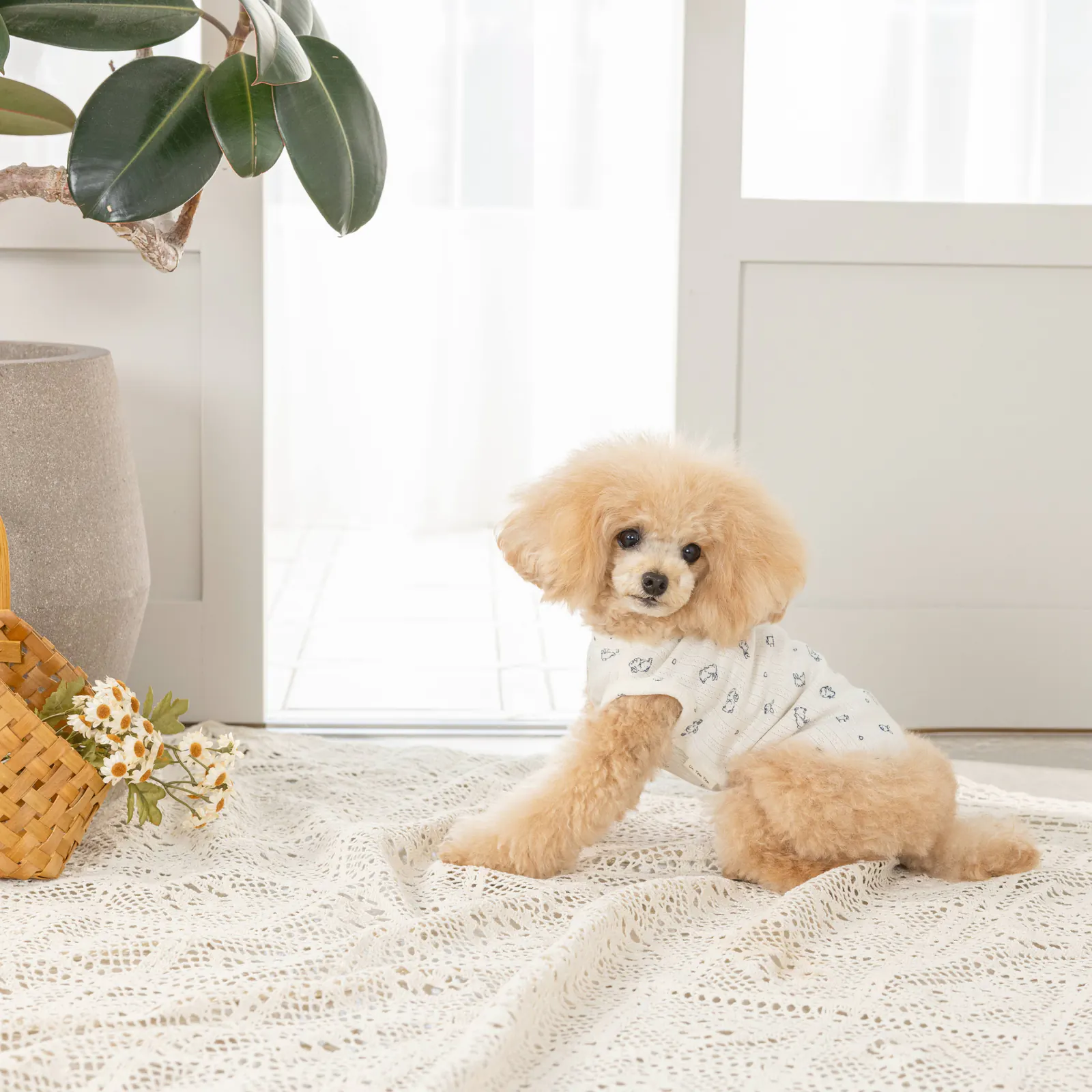 Knit Pet Vest · UT251003 product view 4
