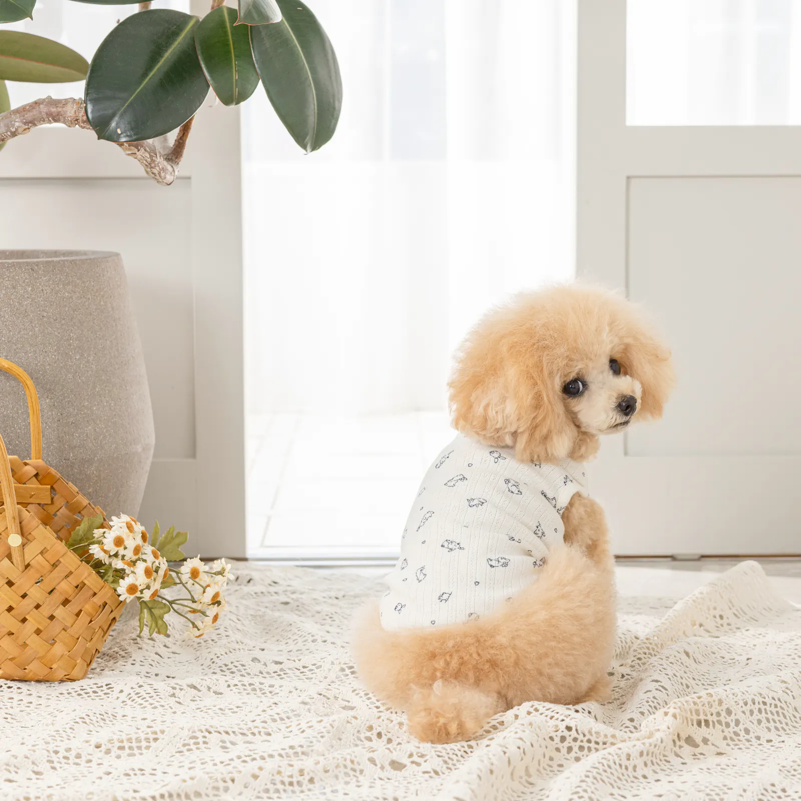 Knit Pet Vest · UT251003 product view 5