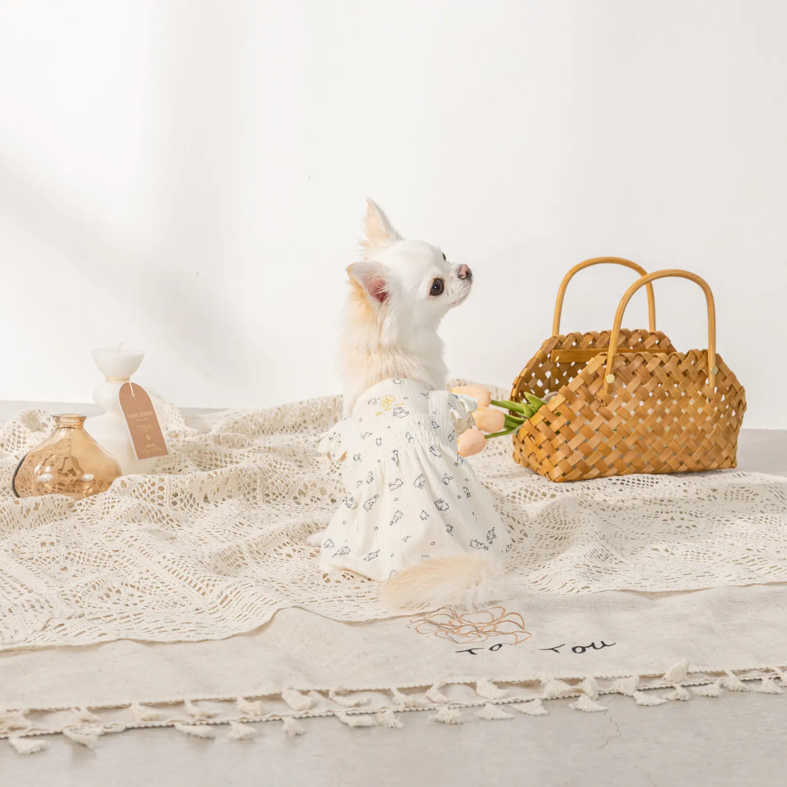 Ruffle Pet Vest Dress · UT251004 product view 3