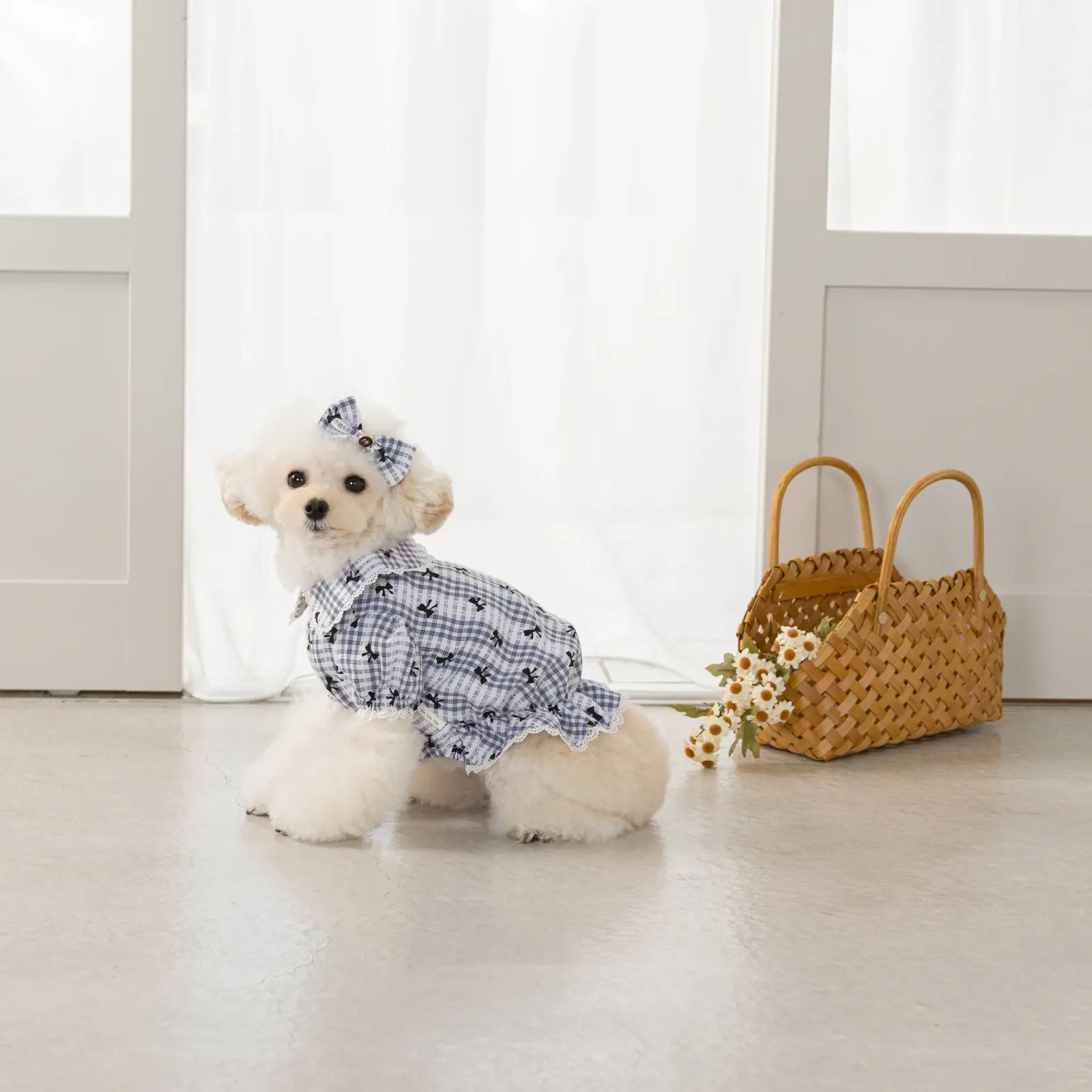 Bow Lace Pet Shirt · UT251005 product view 2