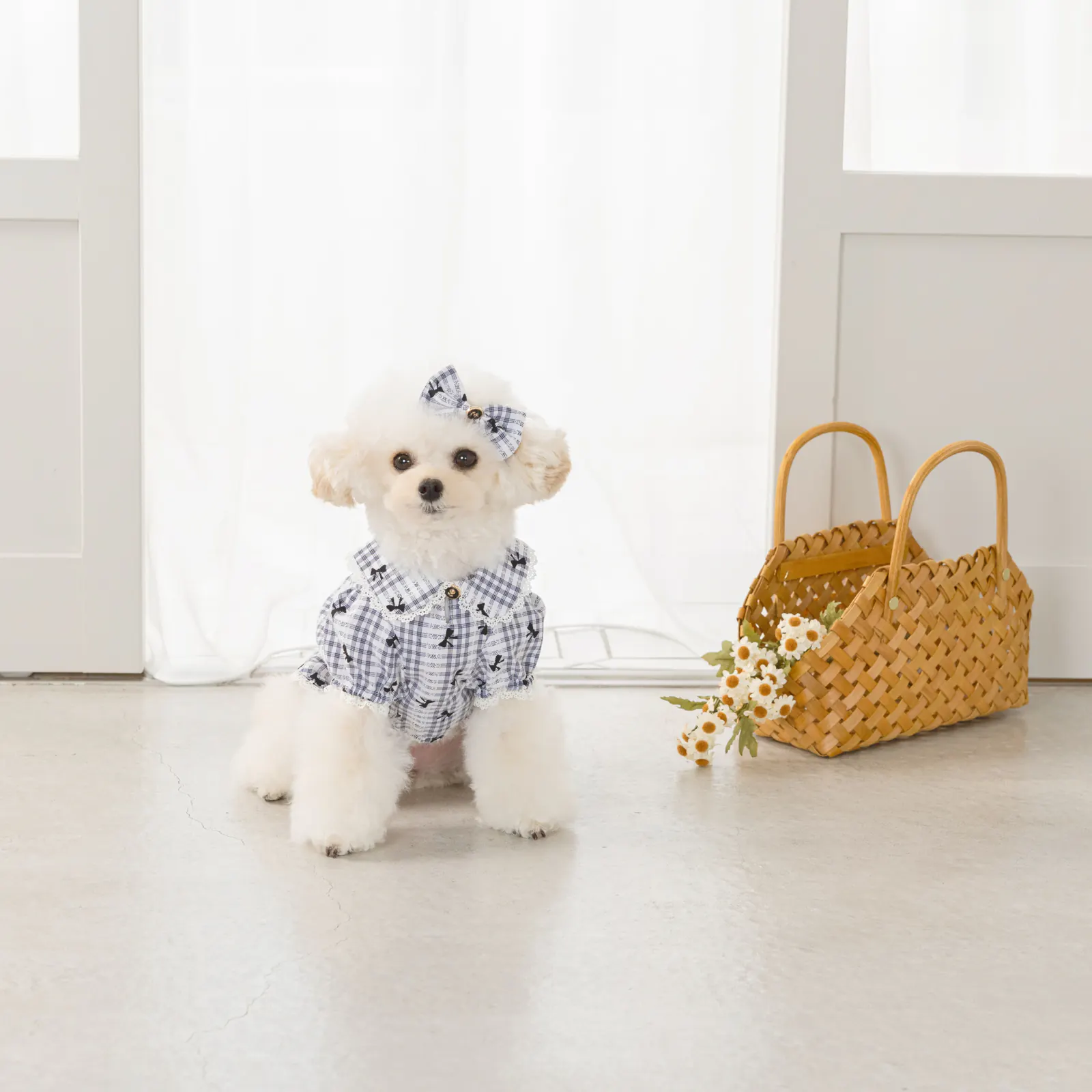 Bow Lace Pet Shirt · UT251005 product view 4