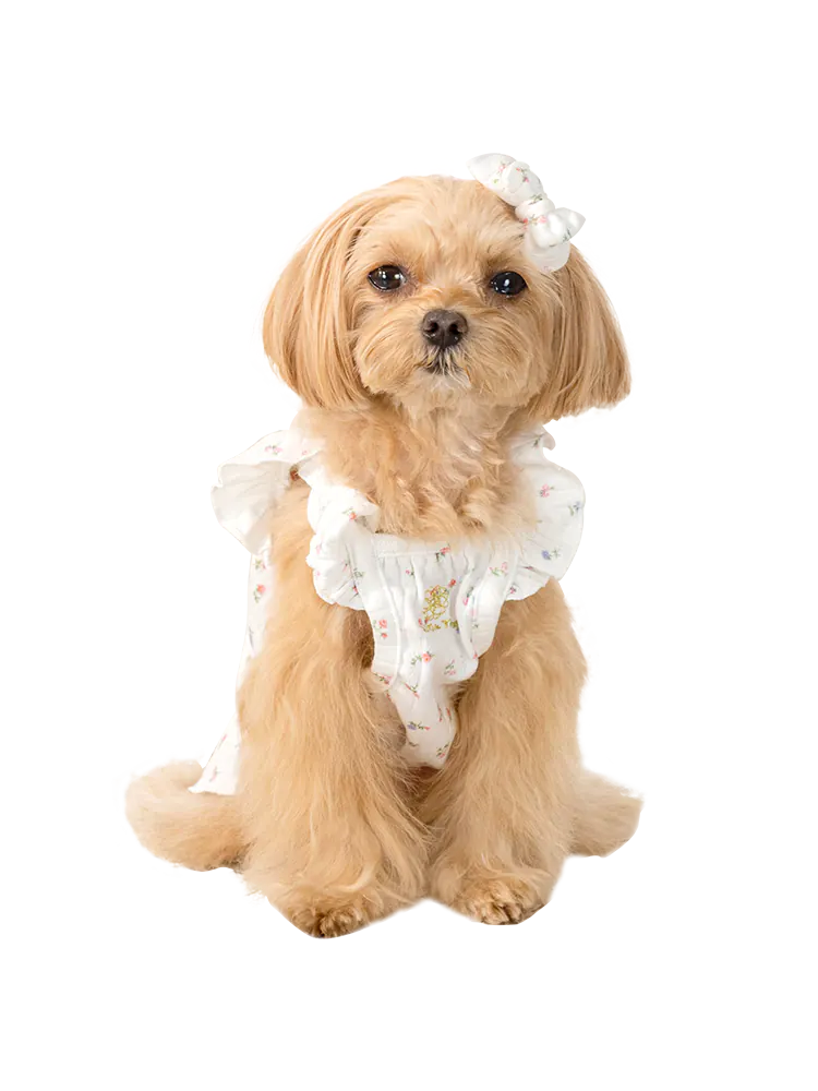 Pet Dress · UT251006 product view 2