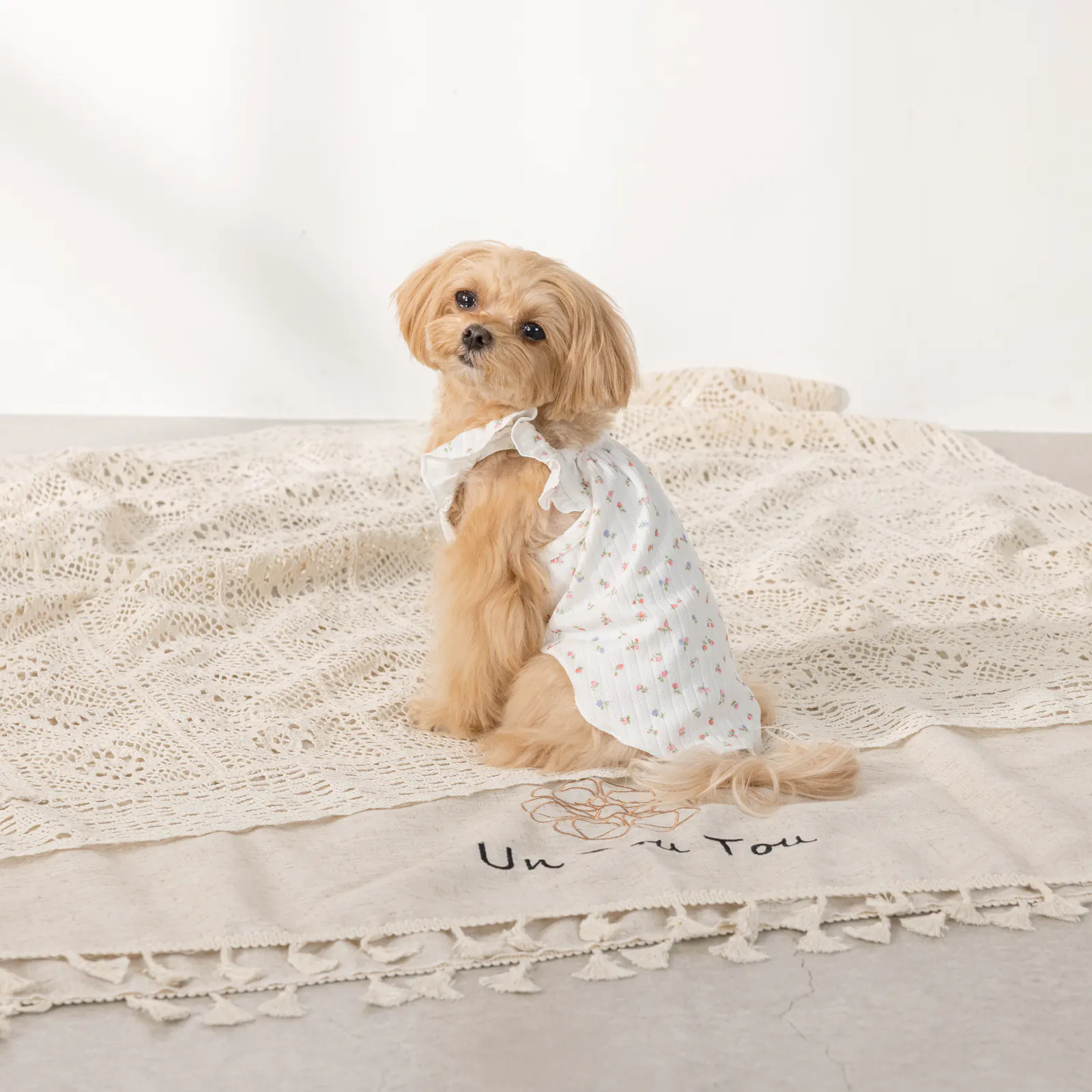 Pet Dress · UT251006 product view 3