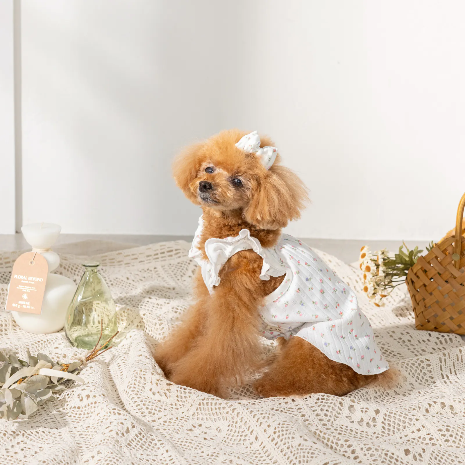 Pet Dress · UT251006 product view 4