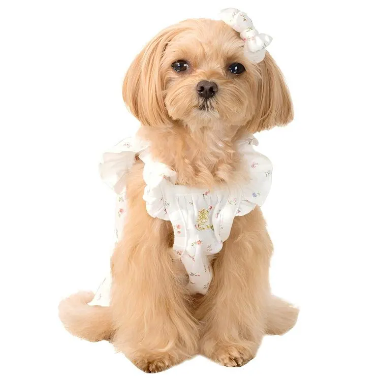 Pet Dress · UT251006 product view 5