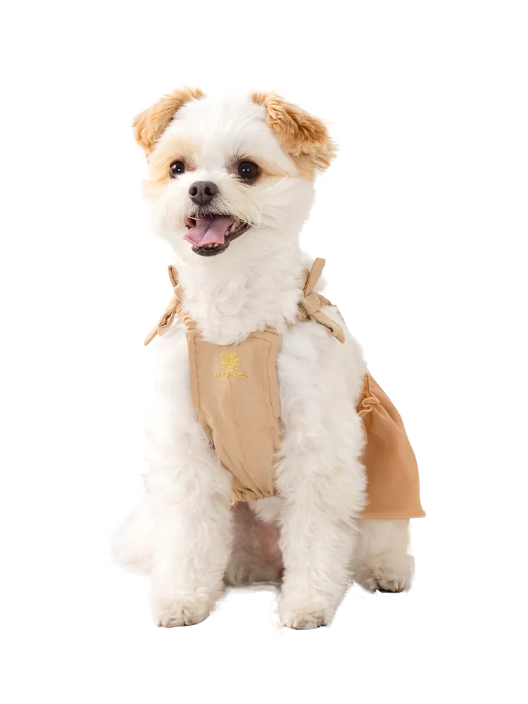 Pet Dress · UT251009 product view 2