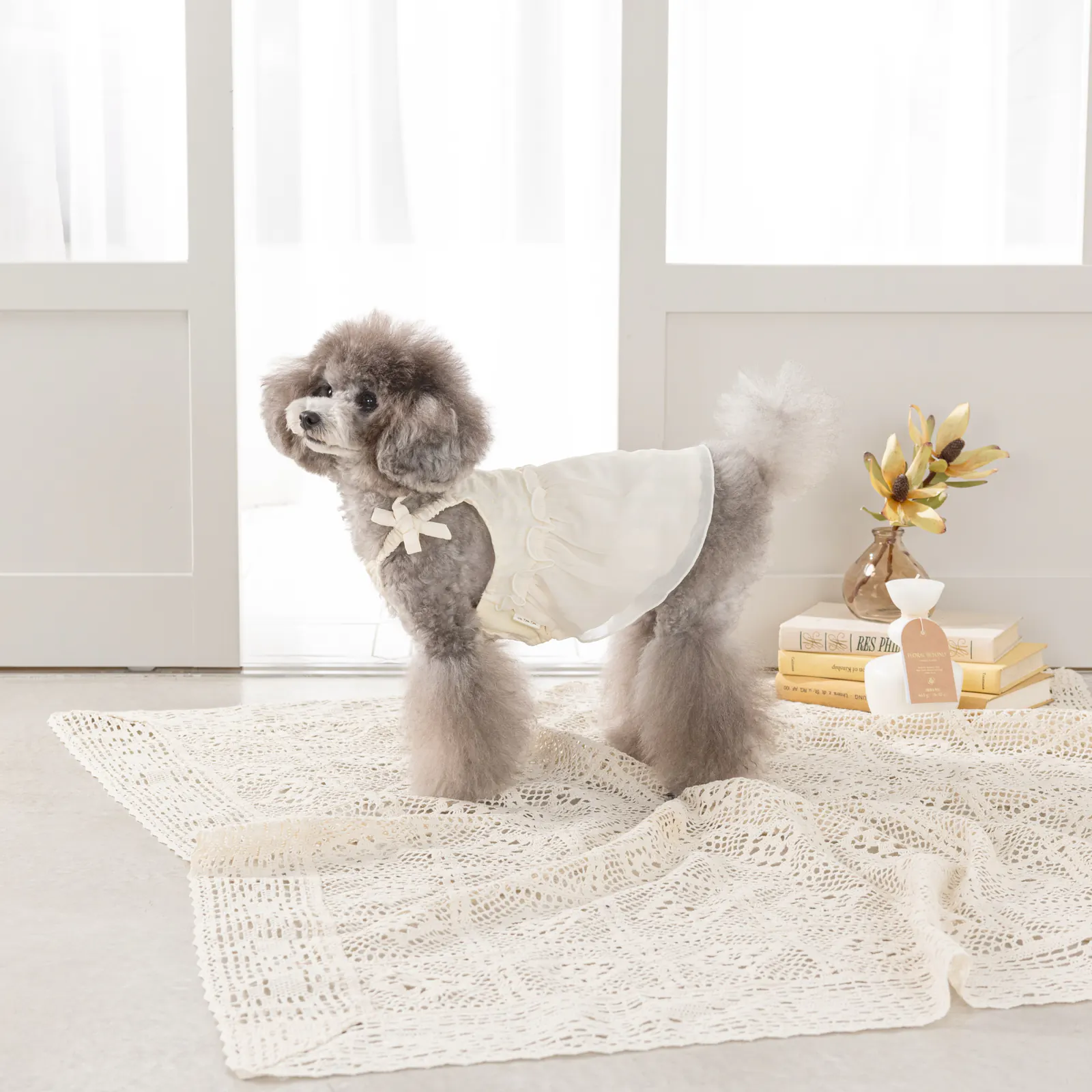 Pet Dress · UT251009 product view 3