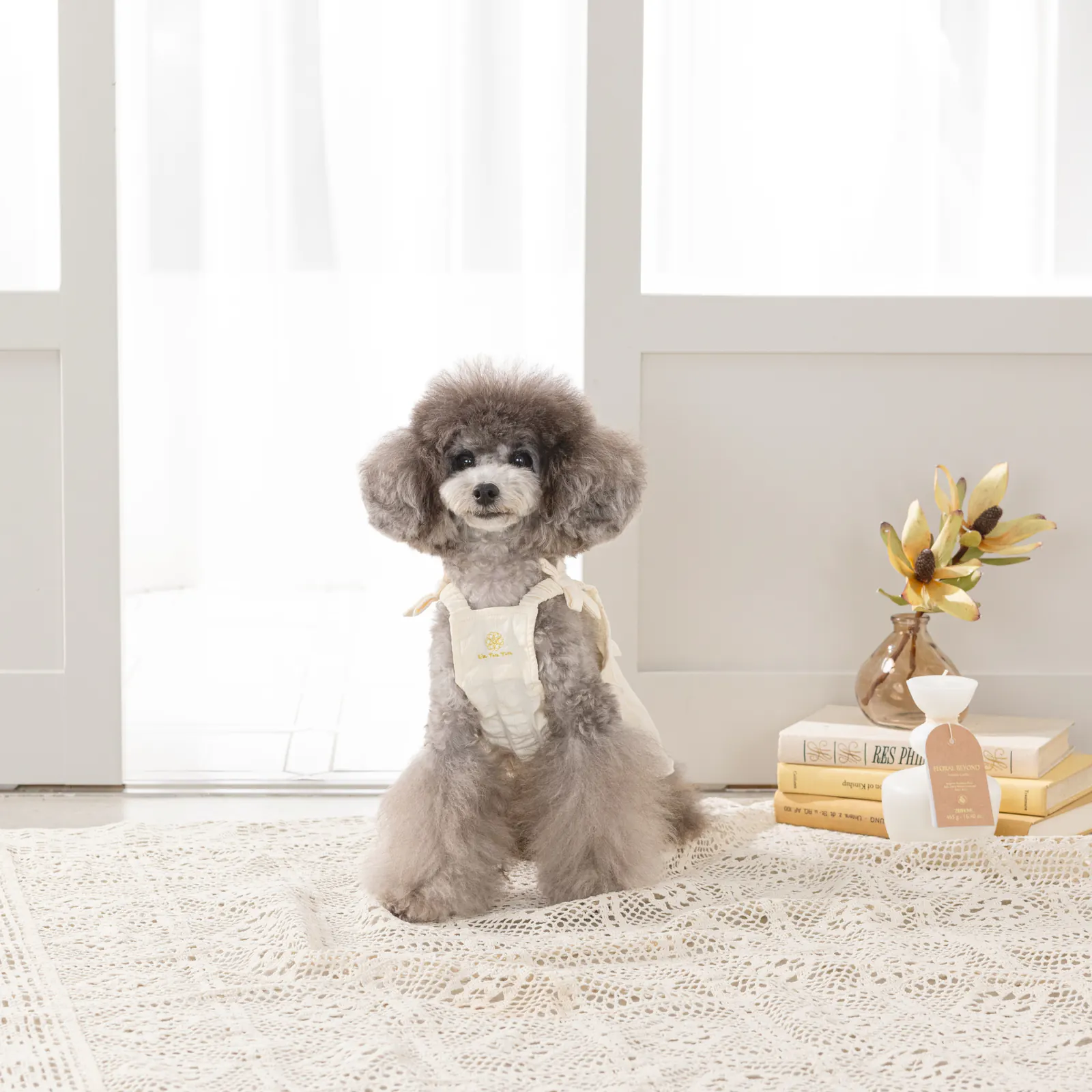 Pet Dress · UT251009 product view 4