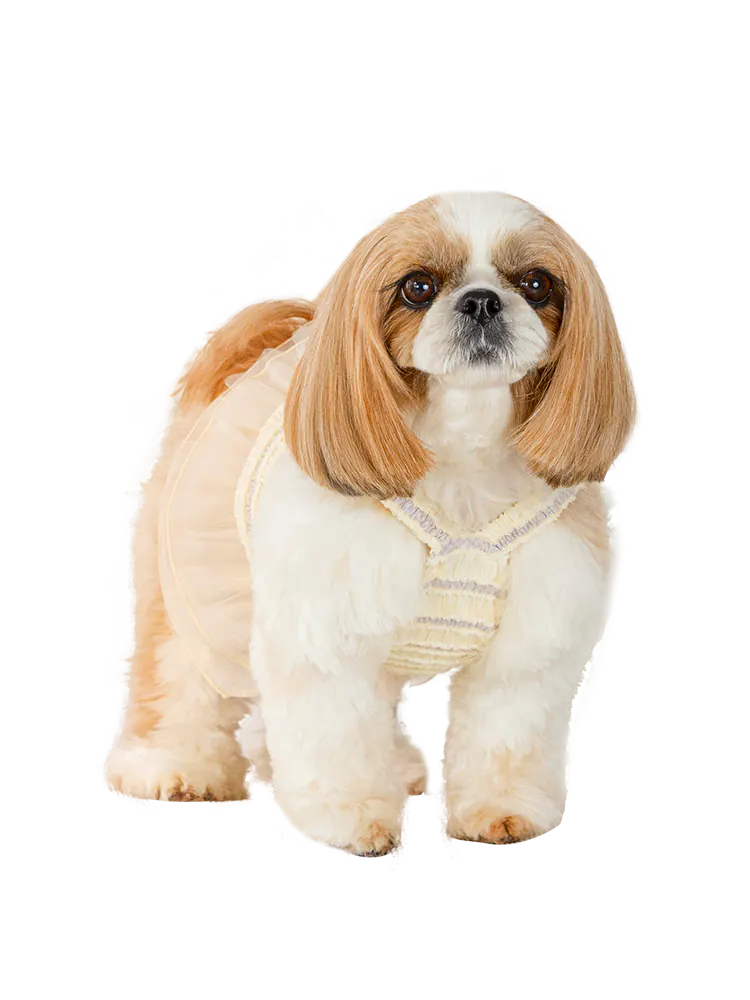 Pet Dress · UT251014 product view 2