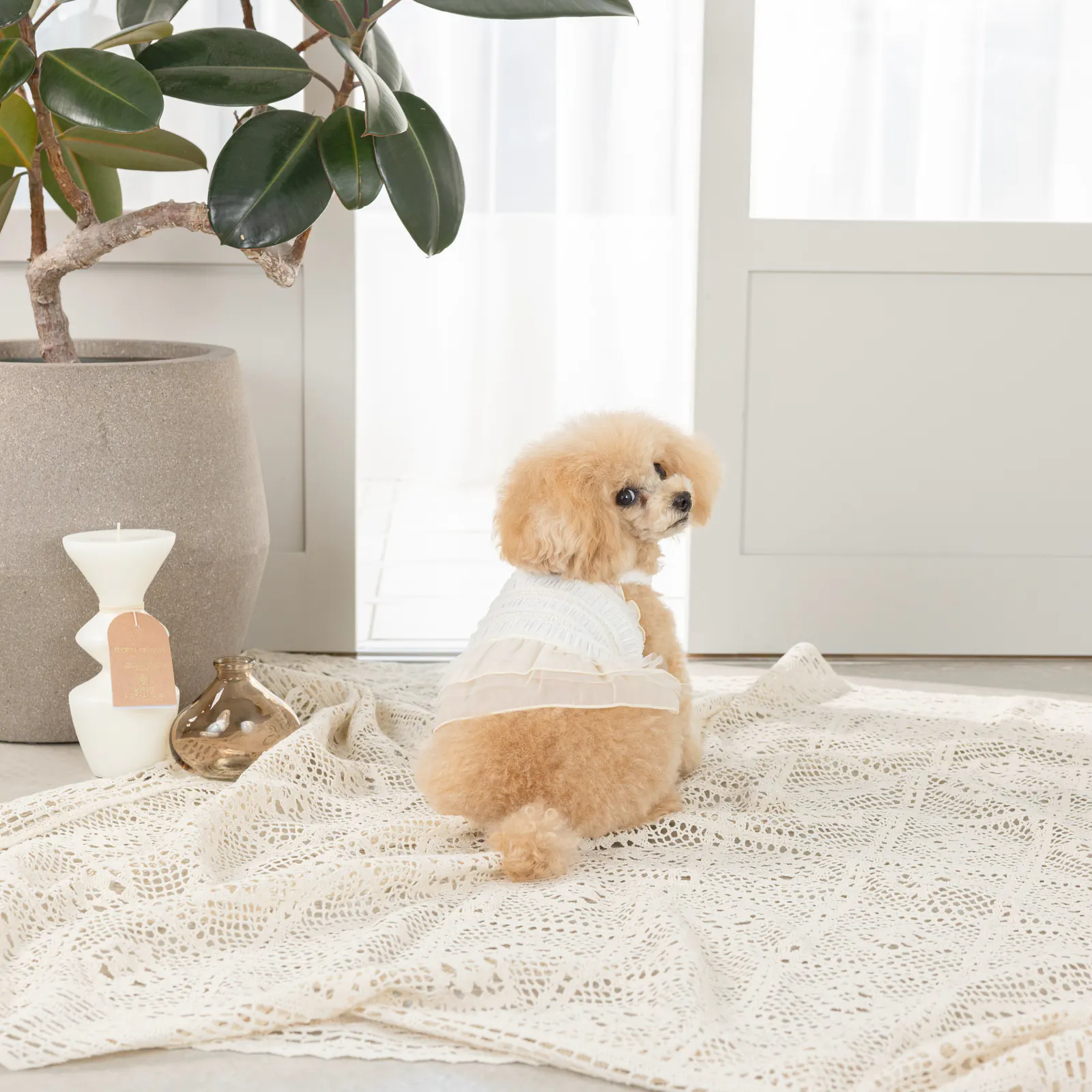 Pet Dress · UT251014 product view 4