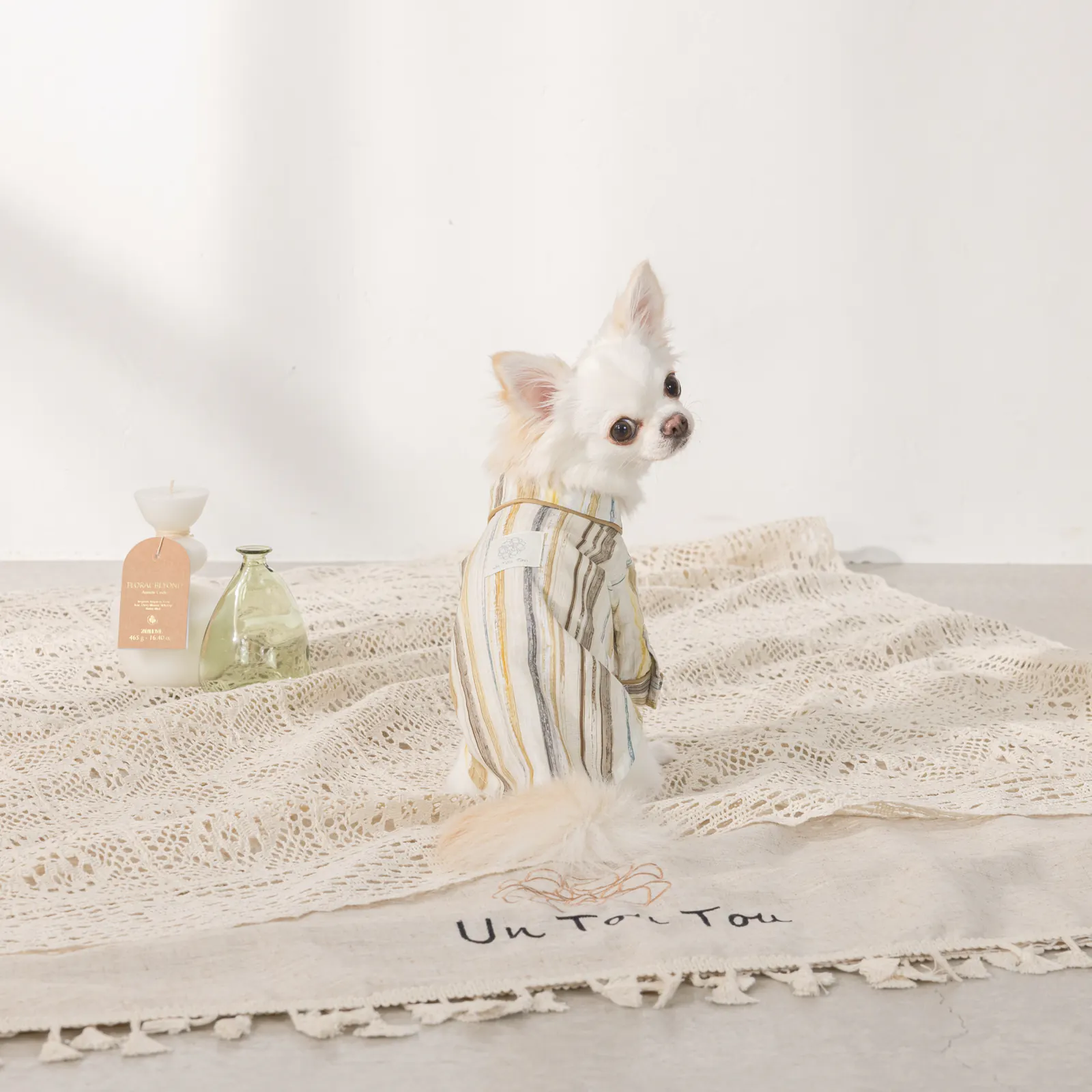 Knit Pet Shirt · UT251016 product view 3