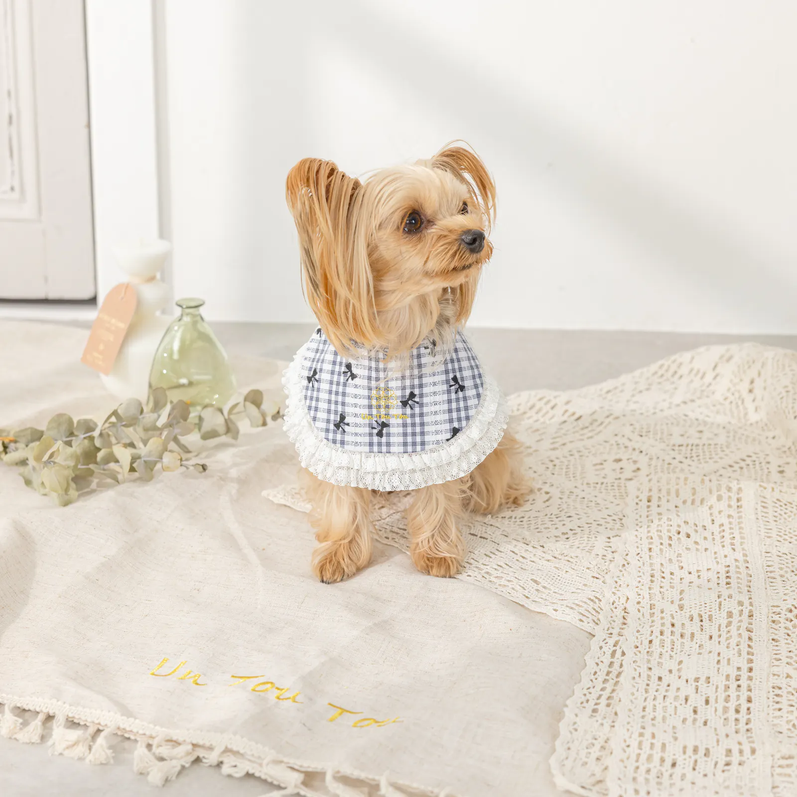Pet Accessory · UT252019 product view 2