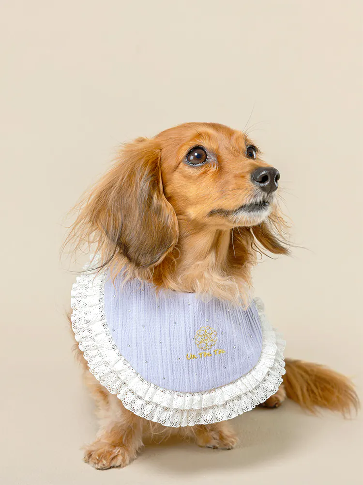 Pet Accessory · UT252021 product view 3