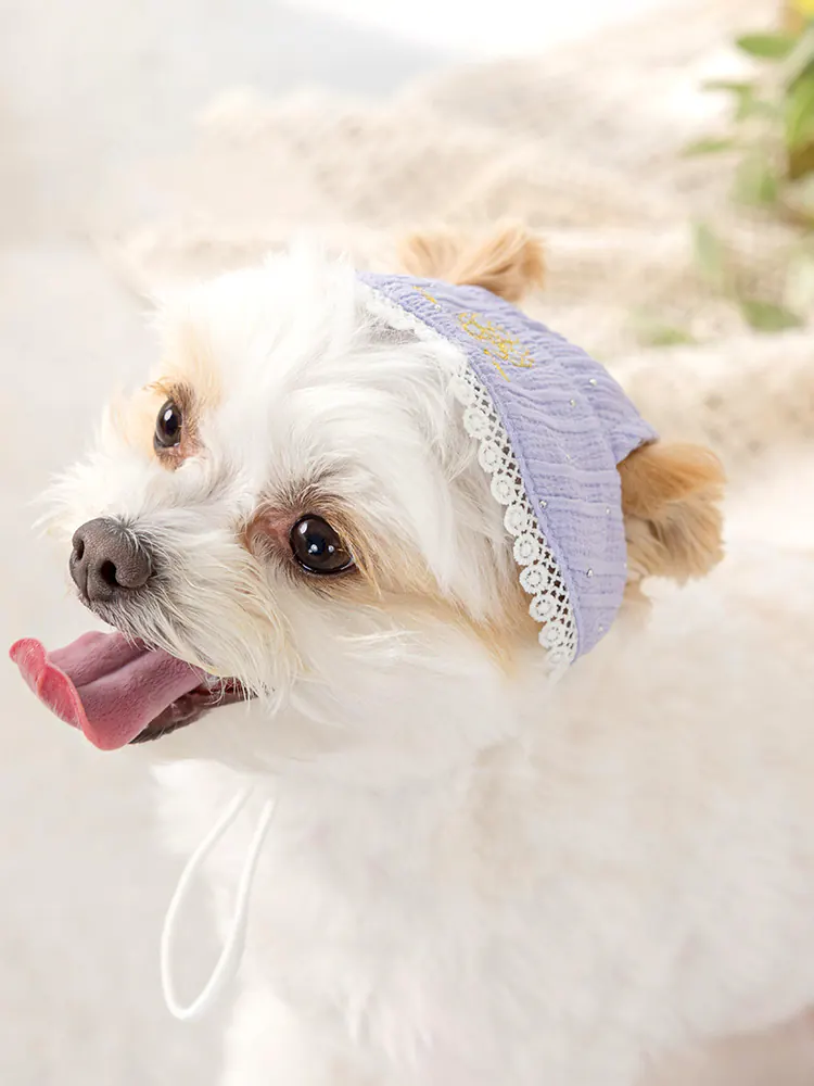 Pet Hat · UT252022 product view 4