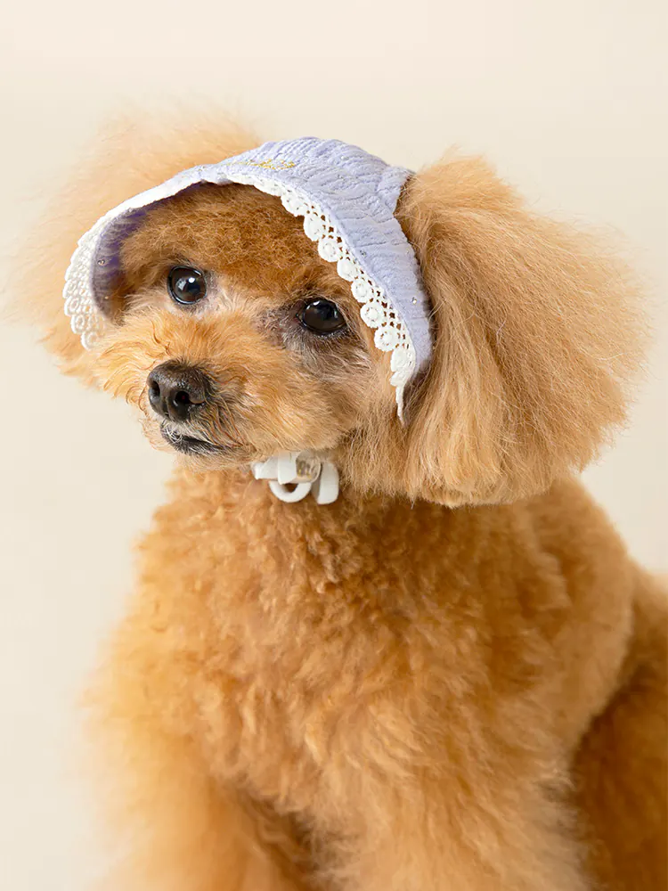 Pet Hat · UT252022 product view 5