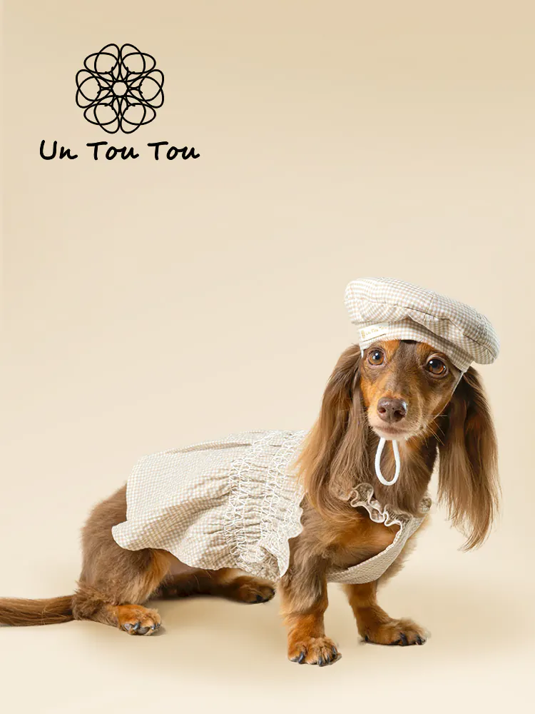 Pet Hat · UT252023 product view 3