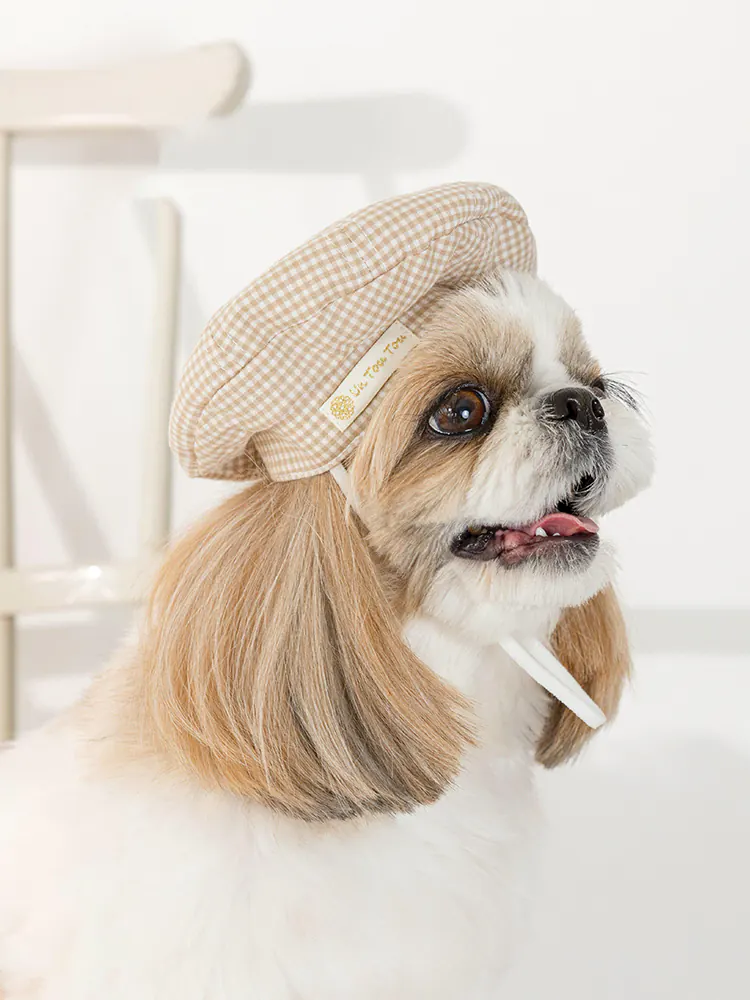 Pet Hat · UT252023 product view 4