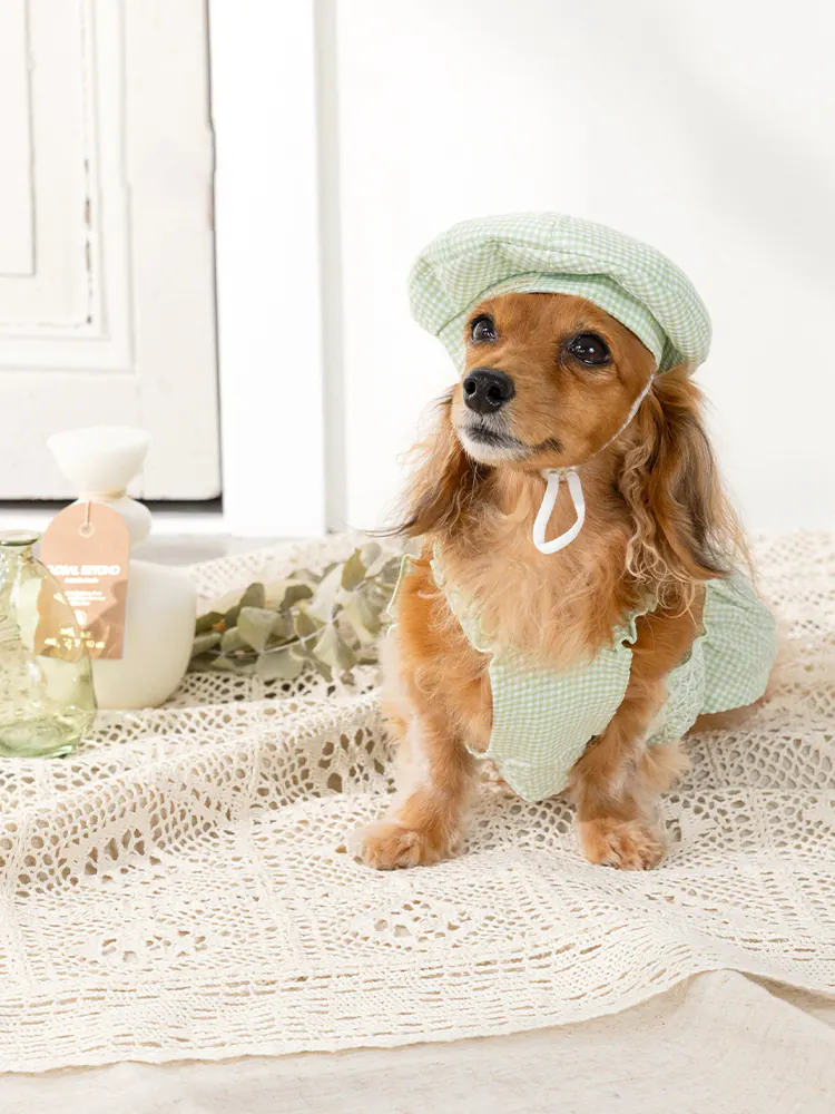 Pet Hat · UT252023 product view 5