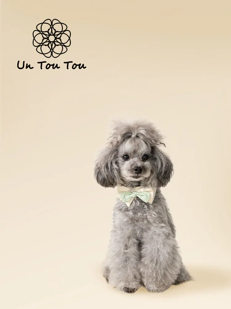 Pet Bow Tie · UT252025 product view 3