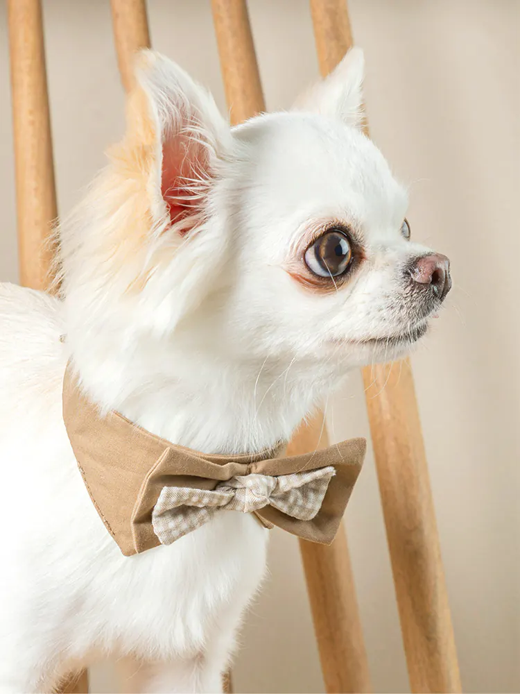 Pet Bow Tie · UT252025 product view 4