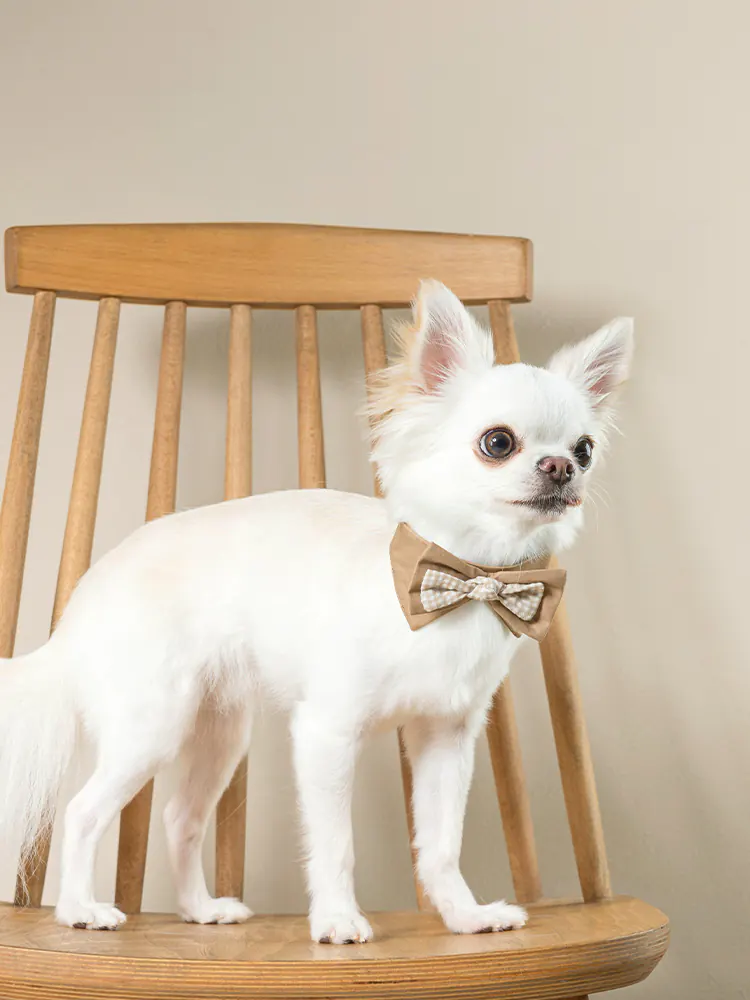 Pet Bow Tie · UT252025 product view 5